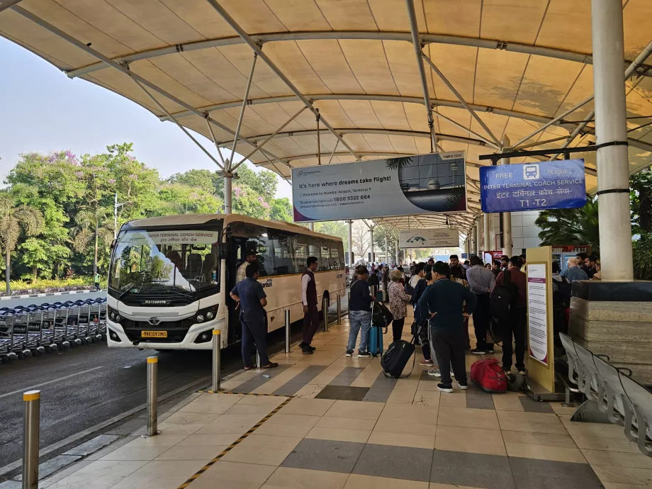 Maršrutinio autobuso stotelė, 1 terminalas
