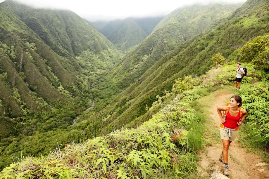 Waihee Ridge takas