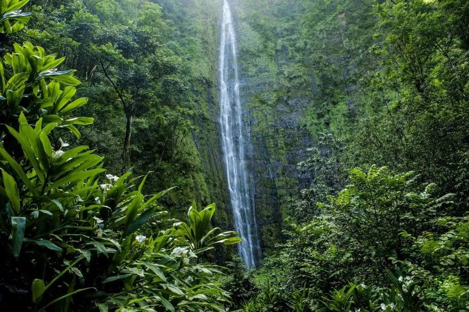 Waimoku kriokliai