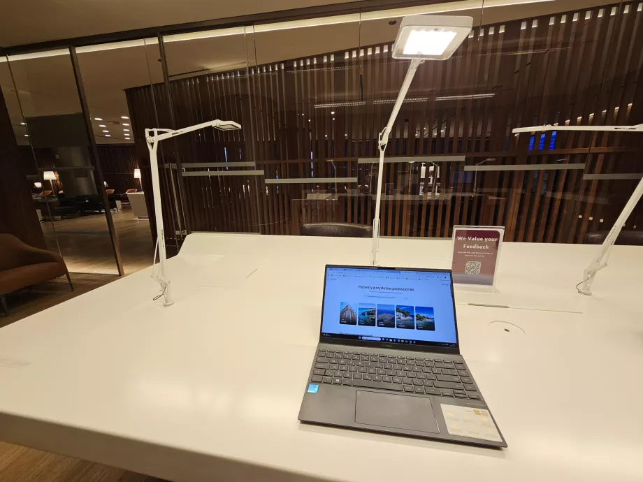 Darbas su Cestee gidais