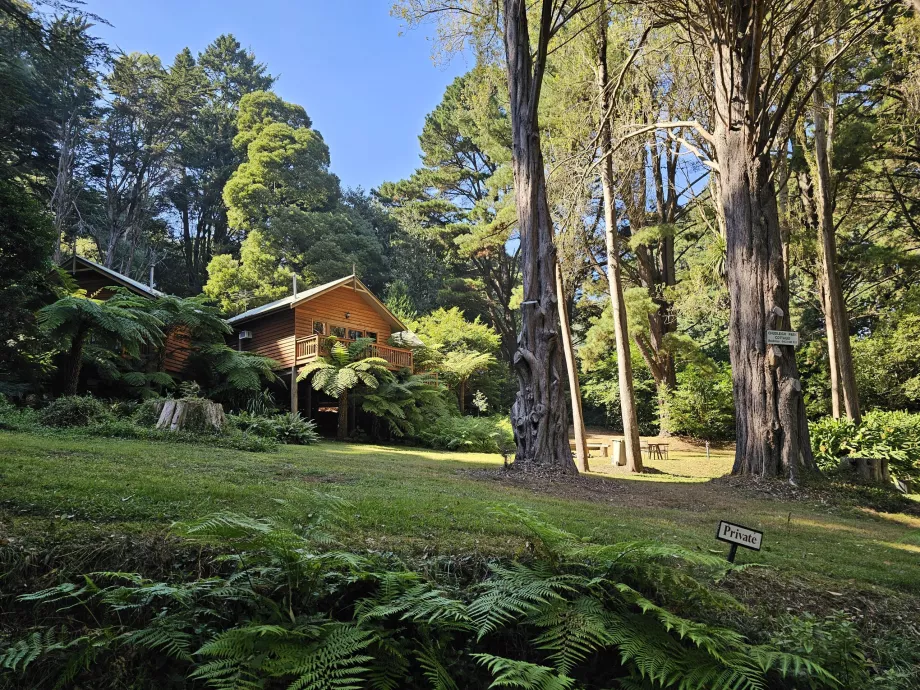 Dandenongo kalnagūbris
