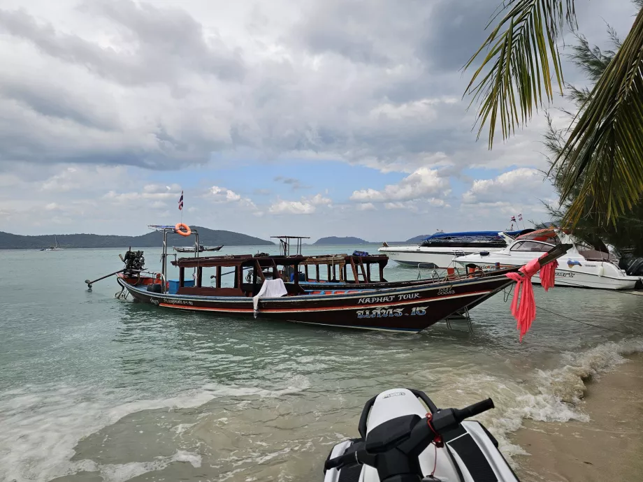 Valtys Kiaulių saloje