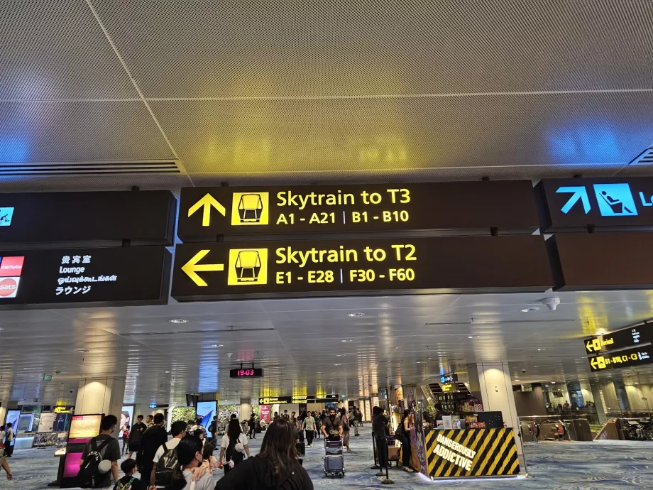 Pervežimai traukiniu "Skytrain