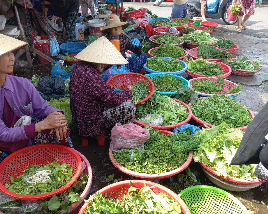 Rytinis turgus, Hoi Anas, Vietnamas